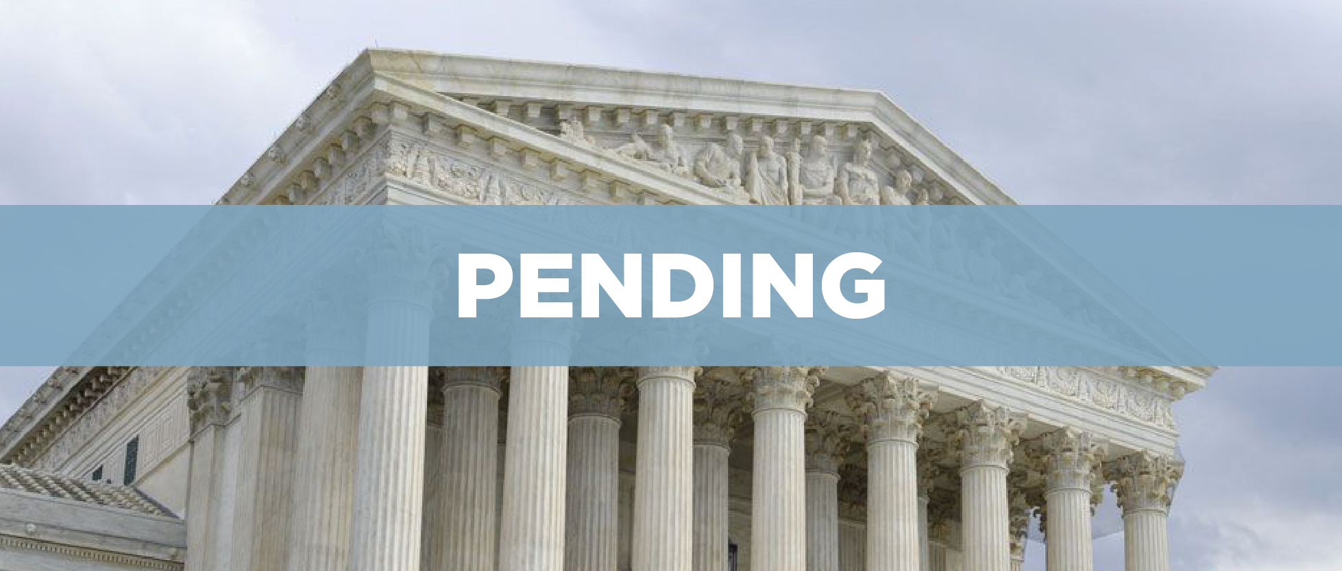 Amicus Brief: IPEC v. Ferguson (No. 25-840)
